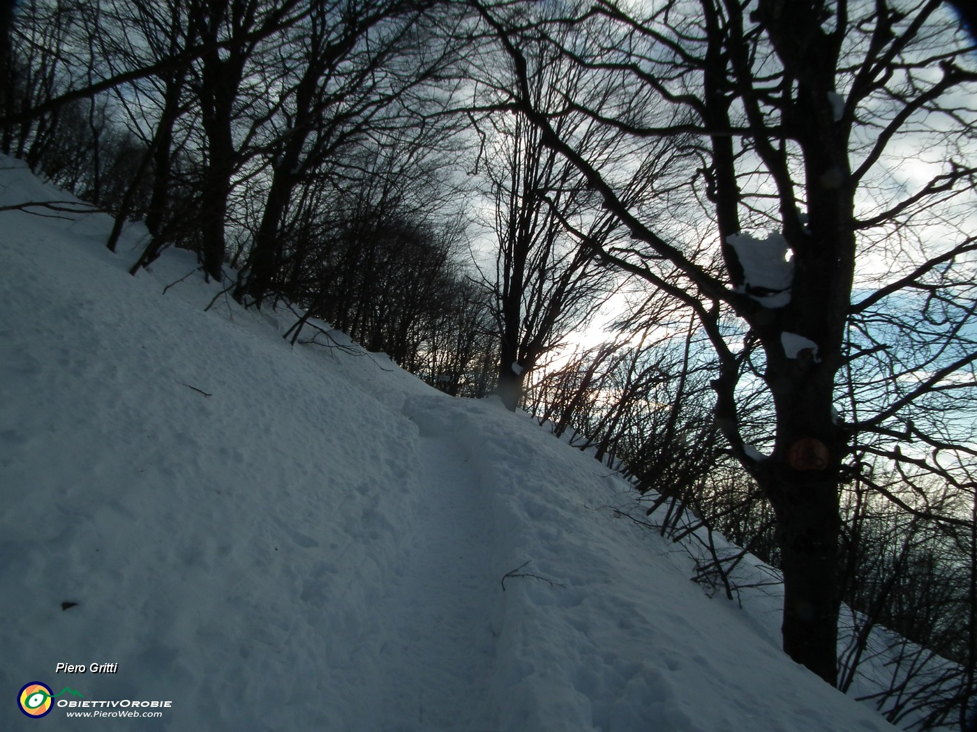 57 Molta neve ma buona traccia.JPG